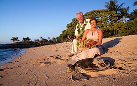 Heiraten am Strand von Big Island Hawaii
